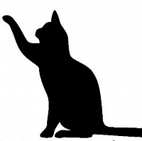 Gato