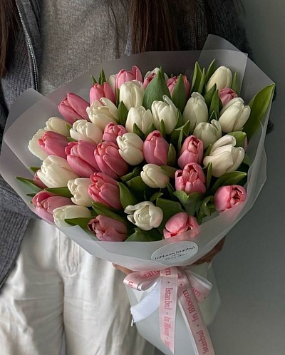 Tulipanes